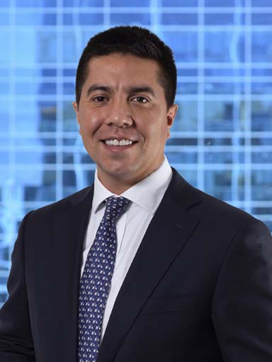 Gerente Comercia Nicolás Becerra C.